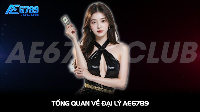 Tổng quan về đại lý AE6789