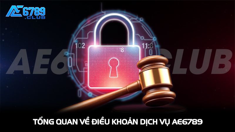 Tổng quan về điều khoản dịch vụ AE6789